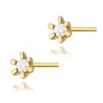 Cercei Aur 14K cu Diamante Naturale 0.04 ct